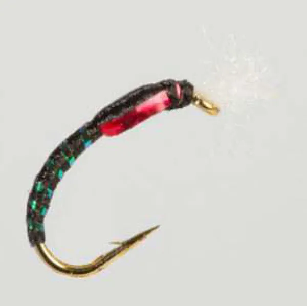 Holographic buzzar black