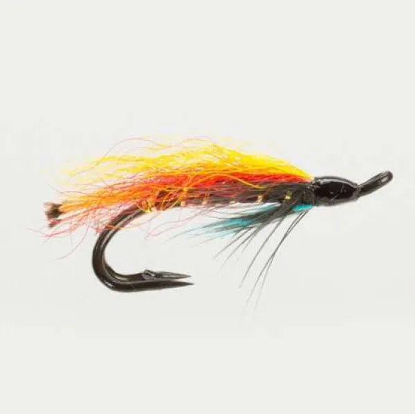 Double salmon Allys Garry dog